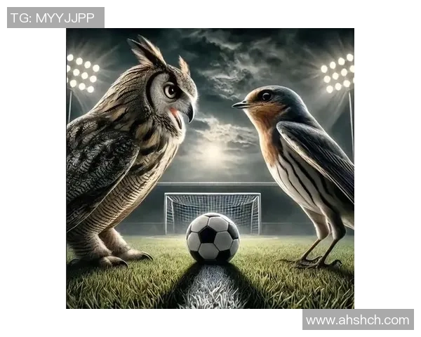 鸟栖沙岩与清风拂面之间的自然和谐与人文交融探讨