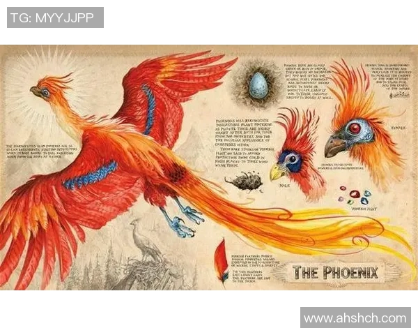 萨克拉门托与凤凰重生的激烈对决展现篮球激情与团队精神的巅峰时刻