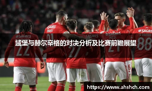 域堡与赫尔辛格的对决分析及比赛前瞻展望