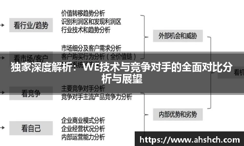 独家深度解析：WE技术与竞争对手的全面对比分析与展望